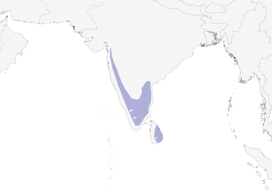 A map of the distribution of the Loten's Sunbird. The distribution shows that the bird is endemic to the southern Indian peninsula along the western and eastern ghats, and along the eastern parts of Sri Lanka.
